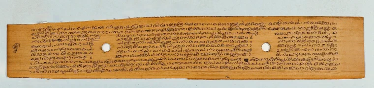 Long palm-leaf Sanskrit manuscript folio written in Malayalam script with two binding holes