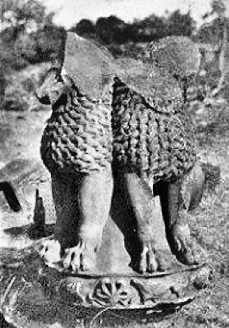 Photograph from 1880 of the carved lion capital of an Ashokan pillar lying at Sanchi