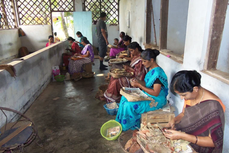 Women seated in a long workshop in Kerala cutting leaves used to roll beedis by hand